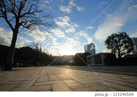 夕日に照らされる公園 123240589