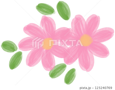 Illustration of a small Pink Daisy flower blooming 123240769