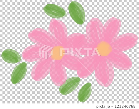 Illustration of a small Pink Daisy flower blooming 123240769