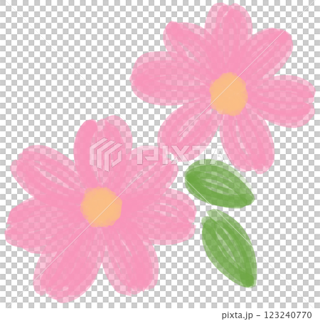 Illustration of a small Pink Daisy flower blooming 123240770