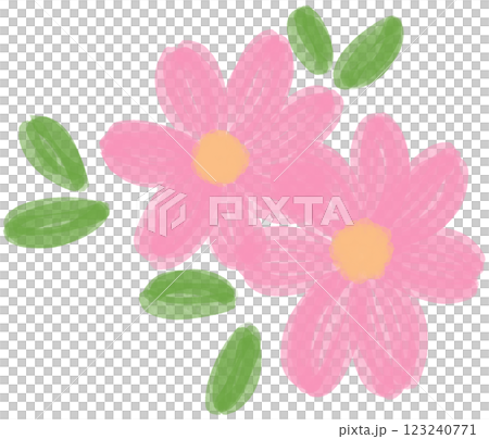 Illustration of a small Pink Daisy flower blooming 123240771