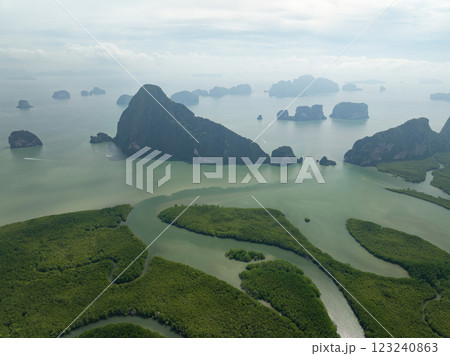 Tropical green mangrove forest trees,Amazing sea bay ecology system aerial view green trees texture background Tropical green mangrove forest trees,Amazing sea bay ecology system aerial view green trees texture background 123240863