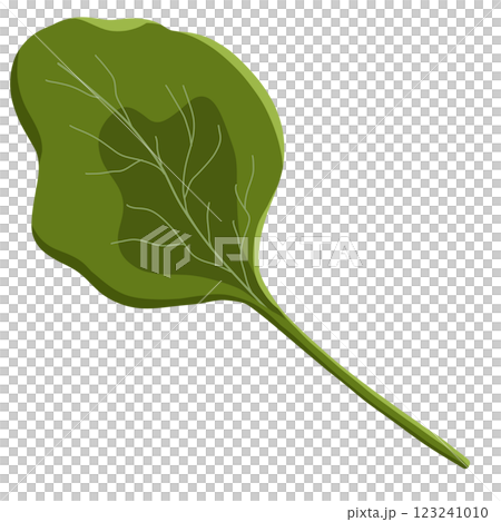 Salad stuff and foods 123241010