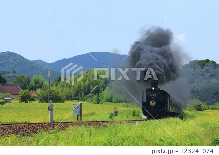 SLやまぐち号　D51  4636- 123241074