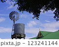 オーストラリアの田舎町での風景写真。晴れた空と緑色の屋根。風車と貯水タンクを使った水供給システム。 123241144