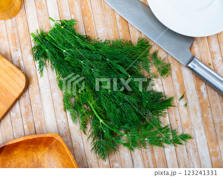 Fresh dill sprigs on kitchen table 123241331