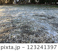 霜の降りた地面 123241397
