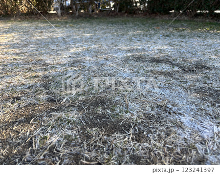 霜の降りた地面 123241397