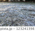 霜の降りた地面 123241398