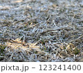 霜の降りた地面 123241400