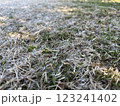 霜の降りた地面 123241402