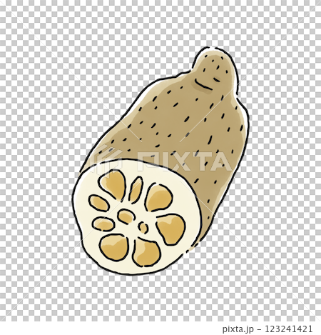 蓮藕水彩風格 123241421