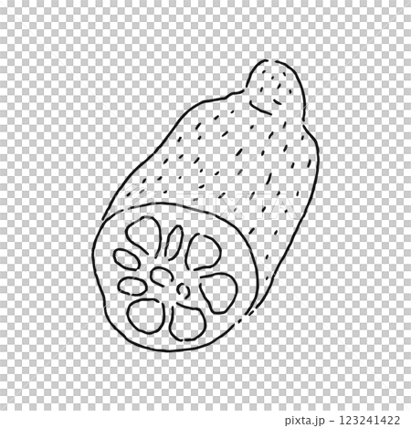 れんこん 線画 れんこん 線画 123241422