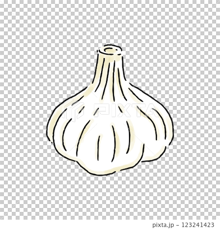 大蒜水彩風格 123241423