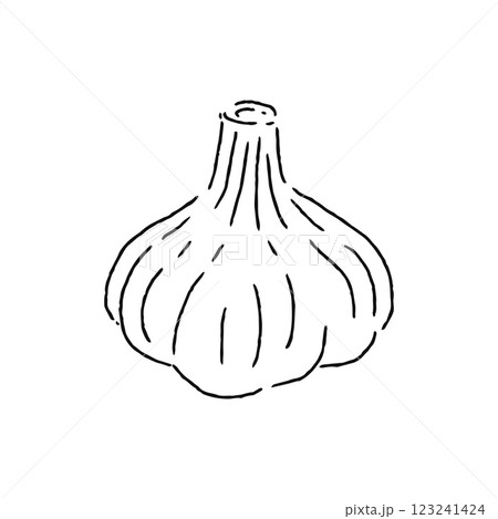 にんにく 線画 にんにく 線画 123241424