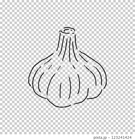 にんにく 線画 にんにく 線画 123241424