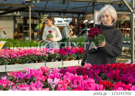 Elderly woman choosing flower pots Elderly woman choosing flower pots 123241502