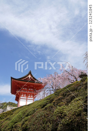 春の青空に映える清水寺仁王門 123241845