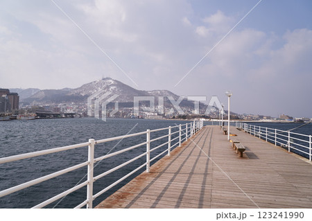 北海道 函館港と函館山 北海道 函館港と函館山 123241990