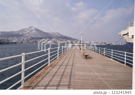 北海道　函館港と函館山 123241995