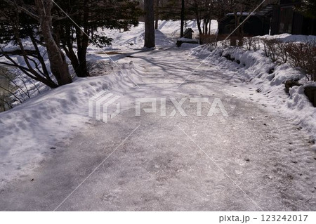 北海道　大沼公園の凍結した遊歩道 123242017