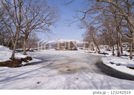 北海道　凍結した大沼と北海道駒ヶ岳 123242019