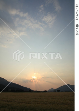 夏と夕日と麦畑 123242616