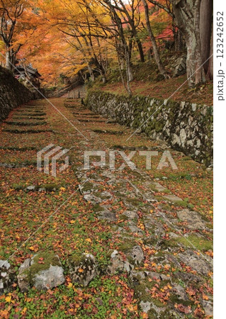 紅葉と石だたみと坂道 123242652