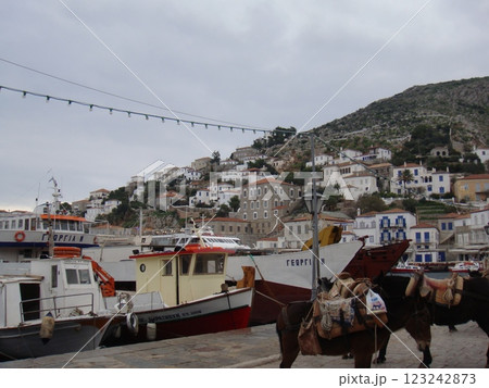 ヨーロッパの伝統的な港町 123242873