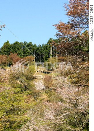 桜の名所・吉野山 桜の名所・吉野山 123242961