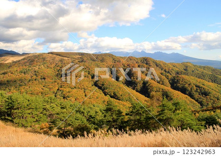 車山高原からの風景 車山高原からの風景 123242963