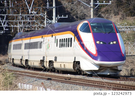 奥羽本線を行く山形新幹線E3系2000番台 123242973