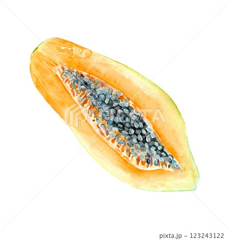 A fresh open papaya watercolor textured illustration isolated on white. The hand-painted tropical fruit clip art is perfect for culinary designs, labels, prints, cards, packages, menu, home decor 123243122