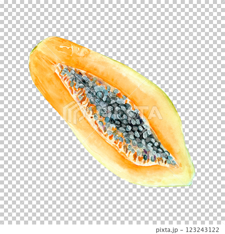 A fresh open papaya watercolor textured illustration isolated on white. The hand-painted tropical fruit clip art is perfect for culinary designs, labels, prints, cards, packages, menu, home decor 123243122