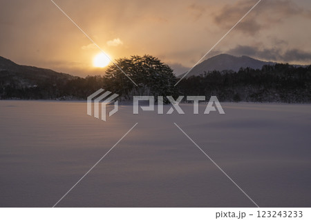 冬の朝焼けの雪原と影 冬の朝焼けの雪原と影 123243233
