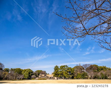 皇居東御苑　本丸から望む天守台 123243278