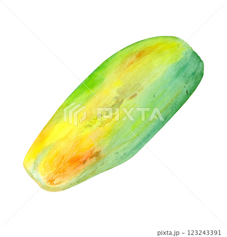 Ripe whole papaya watercolor textured illustration isolated on white. The hand-painted tropical fruit clip art is perfect for culinary designs, labels, prints, cards, packages, menu, home decor Ripe whole papaya watercolor textured illustration isolated on white. The hand-painted tropical fruit clip art is perfect for culinary designs, labels, prints, cards, packages, menu, home decor 123243391