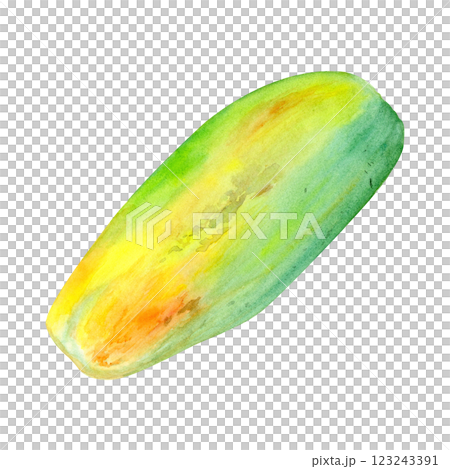 Ripe whole papaya watercolor textured illustration isolated on white. The hand-painted tropical fruit clip art is perfect for culinary designs, labels, prints, cards, packages, menu, home decor Ripe whole papaya watercolor textured illustration isolated on white. The hand-painted tropical fruit clip art is perfect for culinary designs, labels, prints, cards, packages, menu, home decor 123243391