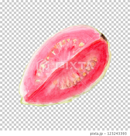 Ripe open pink guava quoter watercolor textured illustration isolated on white. The hand-painted tropical fruit clip art is perfect for culinary designs, labels, prints, cards, packages, menu, home Ripe open pink guava quoter watercolor textured illustration isolated on white. The hand-painted tropical fruit clip art is perfect for culinary designs, labels, prints, cards, packages, menu, home 123243393