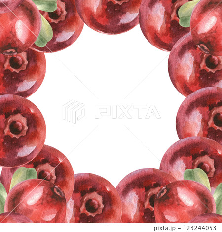 Cowberry macro watercolor banner. Hand drawn forest cranberry frame with copy space, healthy food clipart for diet book, vegan, menu, product packing design.Lingonberry template Cowberry macro watercolor banner. Hand drawn forest cranberry frame with copy space, healthy food clipart for diet book, vegan, menu, product packing design.Lingonberry template 123244053