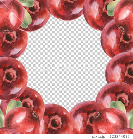 Cowberry macro watercolor banner. Hand drawn forest cranberry frame with copy space, healthy food clipart for diet book, vegan, menu, product packing design.Lingonberry template Cowberry macro watercolor banner. Hand drawn forest cranberry frame with copy space, healthy food clipart for diet book, vegan, menu, product packing design.Lingonberry template 123244053