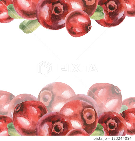 Red wild berries watercolor banner template. Hand drawn cranberry frame with leaves, isolated cowberry clipart for product packing ,menu, label ,logo, card design.Seasonal vitamin food Red wild berries watercolor banner template. Hand drawn cranberry frame with leaves, isolated cowberry clipart for product packing ,menu, label ,logo, card design.Seasonal vitamin food 123244054