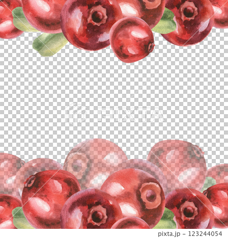 Red wild berries watercolor banner template. Hand drawn cranberry frame with leaves, isolated cowberry clipart for product packing ,menu, label ,logo, card design.Seasonal vitamin food Red wild berries watercolor banner template. Hand drawn cranberry frame with leaves, isolated cowberry clipart for product packing ,menu, label ,logo, card design.Seasonal vitamin food 123244054
