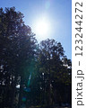 太陽光 123244272