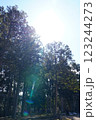太陽光 123244273