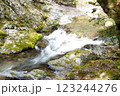 渓流の流れ 123244276