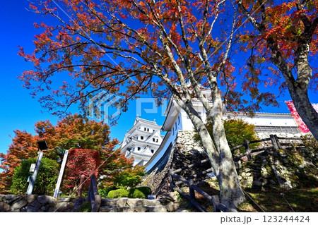 美濃国　郡上八幡城　「天守炎上」青空と紅葉の様子 123244424