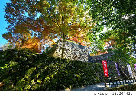 美濃国 郡上八幡城 「天守炎上」青空と紅葉の様子 美濃国 郡上八幡城 「天守炎上」青空と紅葉の様子 123244426