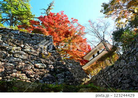 美濃国 郡上八幡城 「天守炎上」青空と紅葉の様子 美濃国 郡上八幡城 「天守炎上」青空と紅葉の様子 123244429