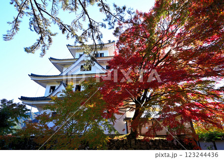 美濃国　郡上八幡城　「天守炎上」青空と紅葉の様子 123244436